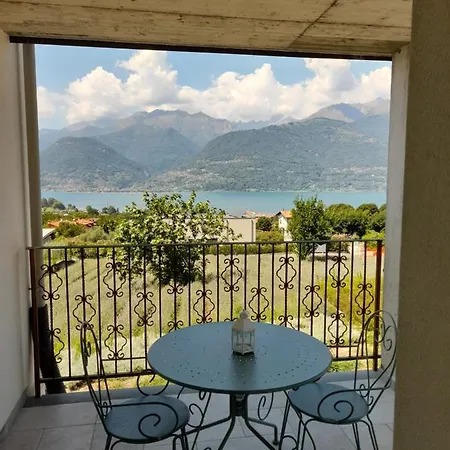 Ape Bianca - Elicriso